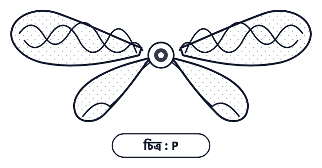 প্রশ্নের ছবি