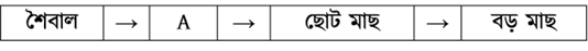 প্রশ্নের ছবি