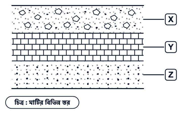 প্রশ্নের ছবি