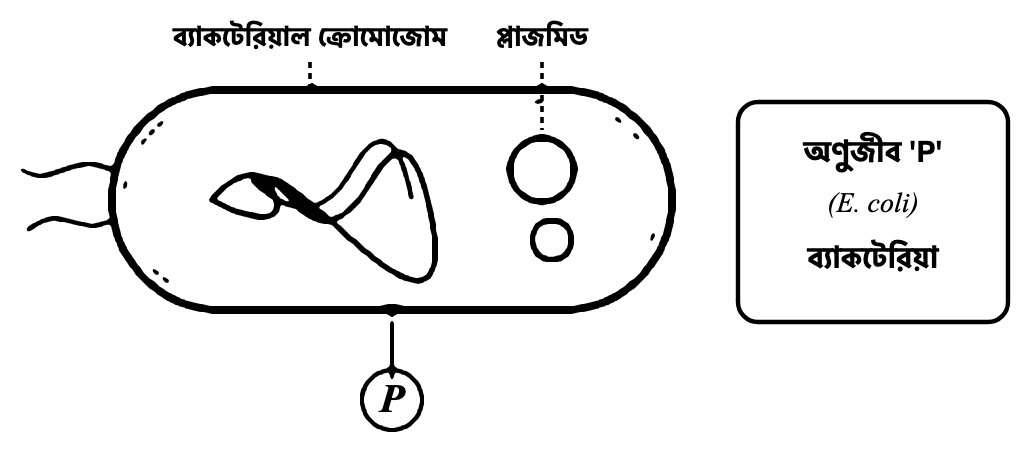 প্রশ্নের ছবি