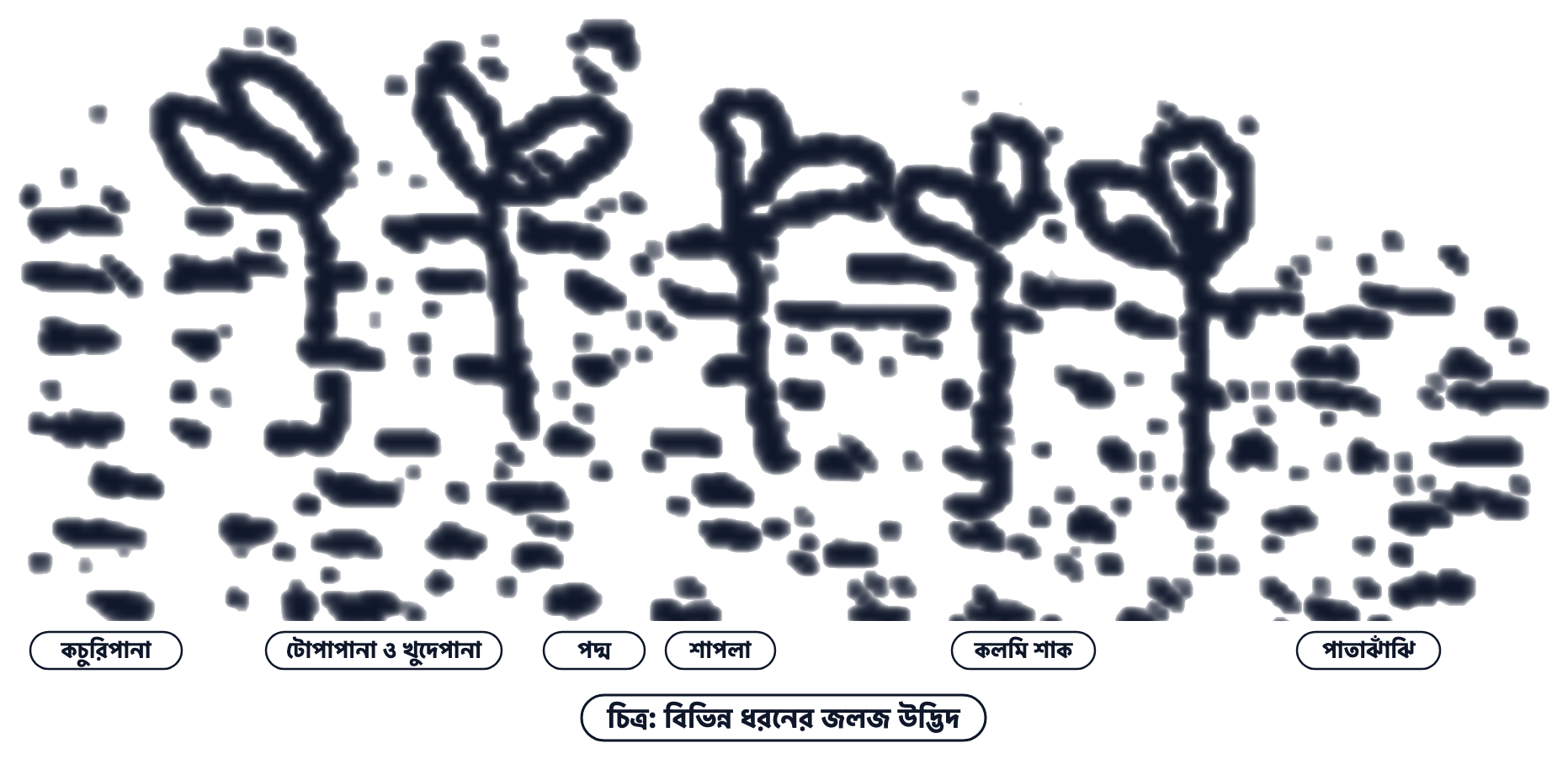 প্রশ্নের ছবি