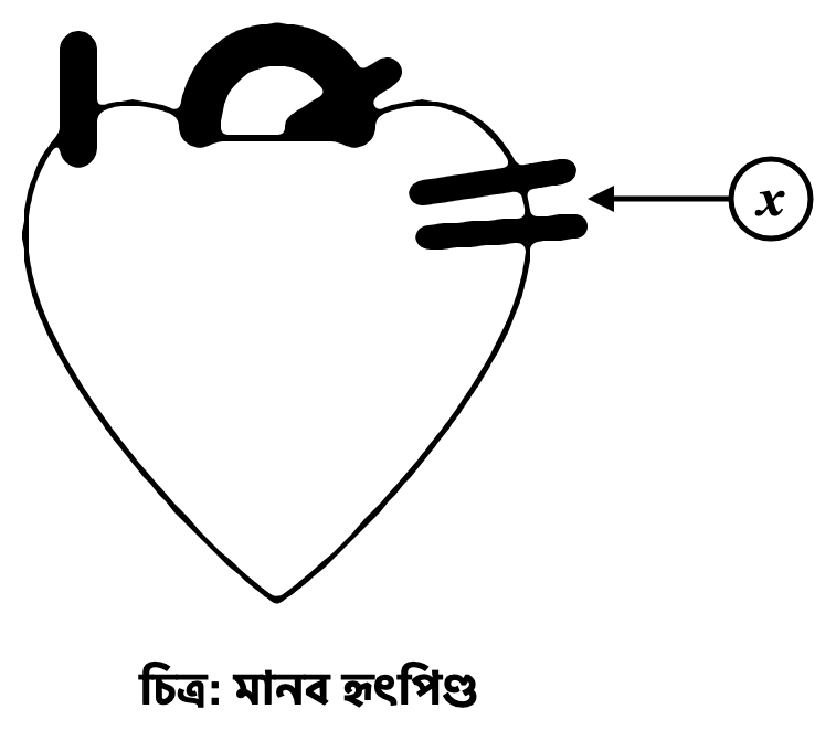 প্রশ্নের ছবি